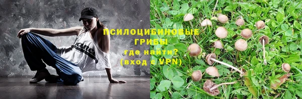 мяу мяу мука Заводоуковск