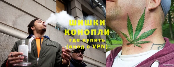 сатива Заволжье