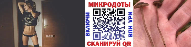 Галлюциногенные грибы мицелий  где купить наркоту  Заводоуковск 