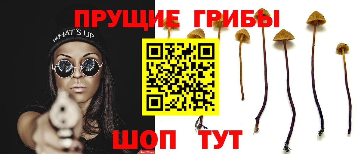 Галлюциногенные грибы мухоморы Заводоуковск